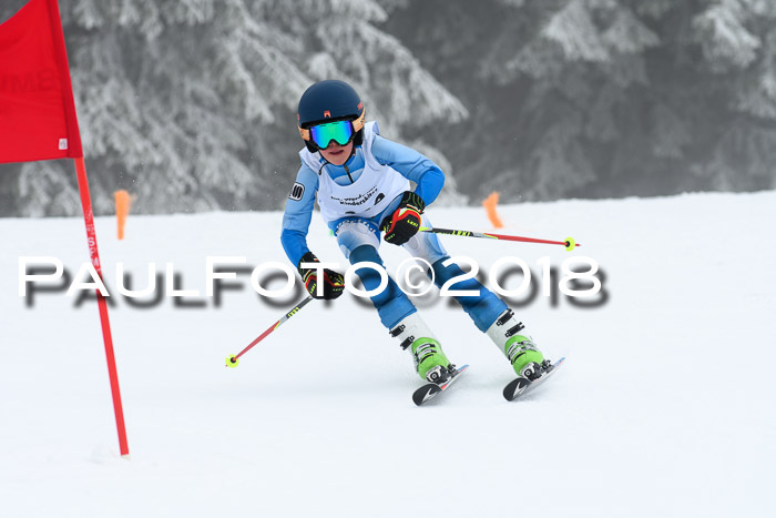 Werdenfelser Kinderskitag, Bambini +Kinder JG 2007, 18.03.2018