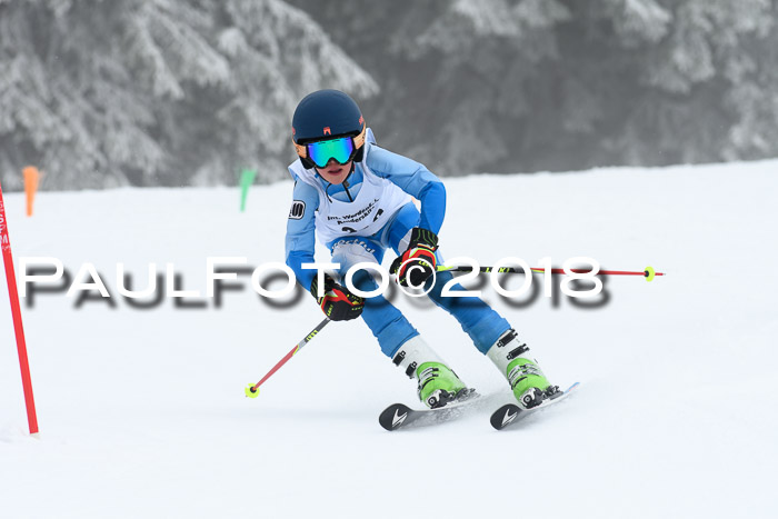 Werdenfelser Kinderskitag, Bambini +Kinder JG 2007, 18.03.2018