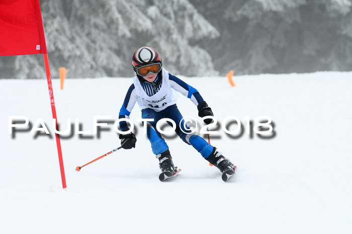 Werdenfelser Kinderskitag, Bambini +Kinder JG 2007, 18.03.2018