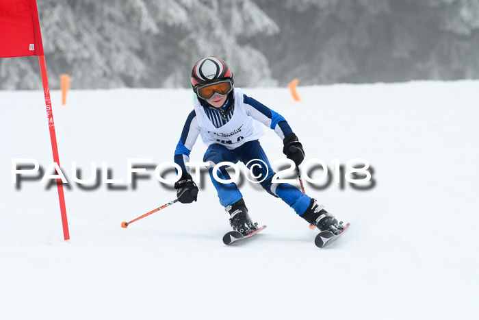 Werdenfelser Kinderskitag, Bambini +Kinder JG 2007, 18.03.2018