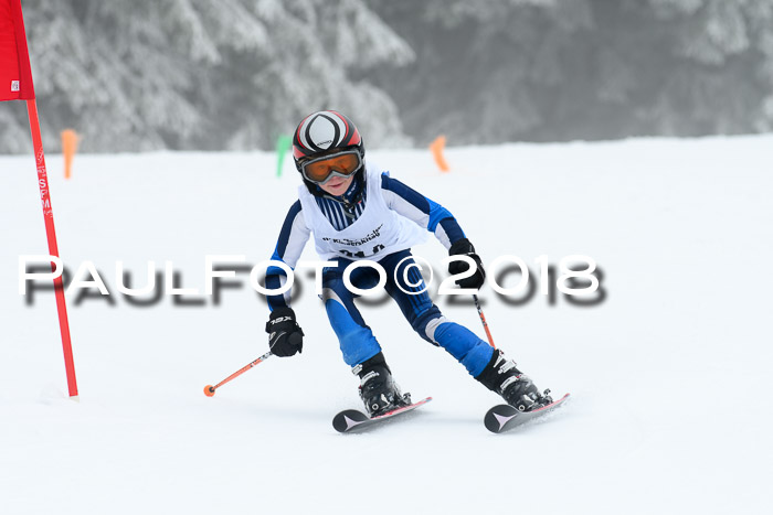 Werdenfelser Kinderskitag, Bambini +Kinder JG 2007, 18.03.2018