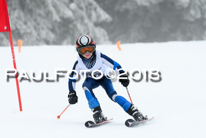 Werdenfelser Kinderskitag, Bambini +Kinder JG 2007, 18.03.2018