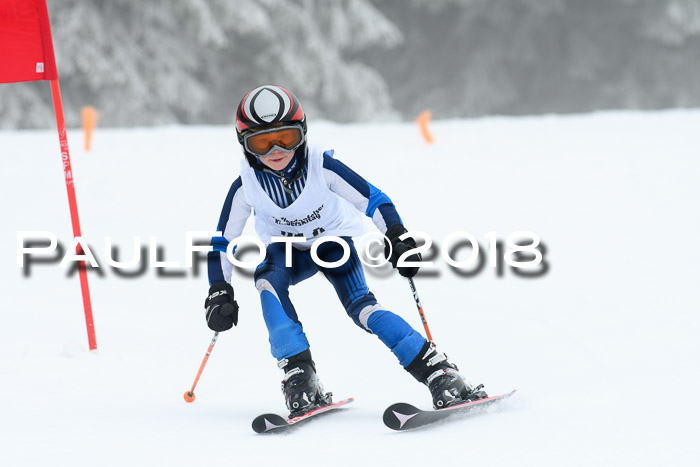 Werdenfelser Kinderskitag, Bambini +Kinder JG 2007, 18.03.2018