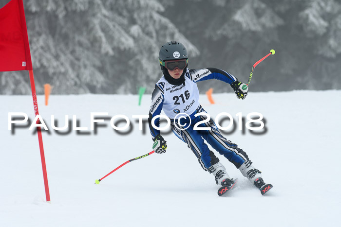 Werdenfelser Kinderskitag, Bambini +Kinder JG 2007, 18.03.2018