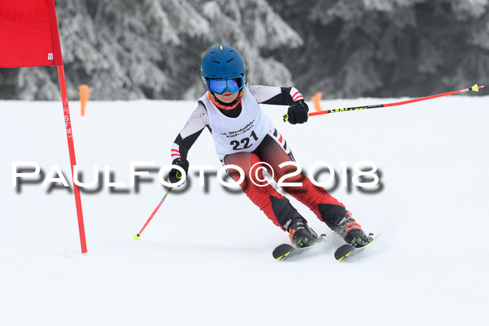 Werdenfelser Kinderskitag, Bambini +Kinder JG 2007, 18.03.2018