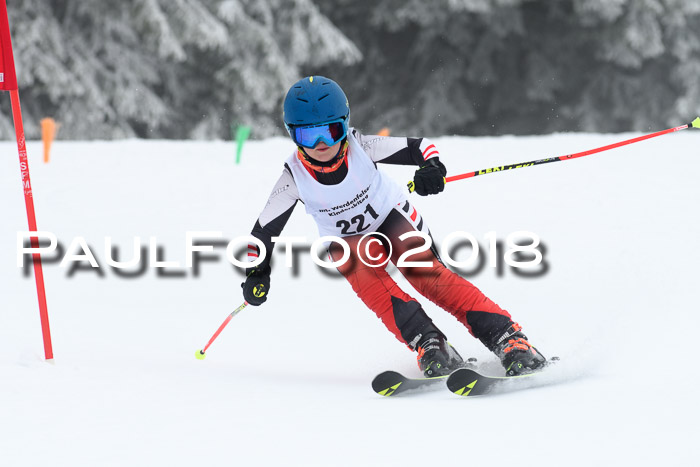 Werdenfelser Kinderskitag, Bambini +Kinder JG 2007, 18.03.2018