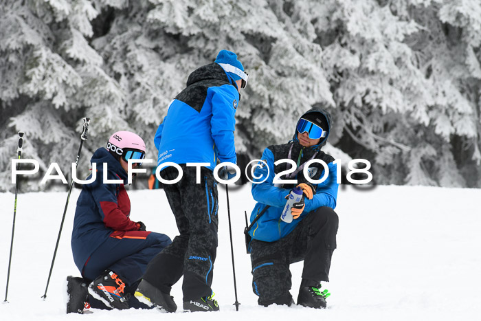 Werdenfelser Kinderskitag, Bambini +Kinder JG 2007, 18.03.2018