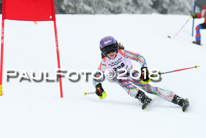 Werdenfelser Kinderskitag, Bambini +Kinder JG 2007, 18.03.2018