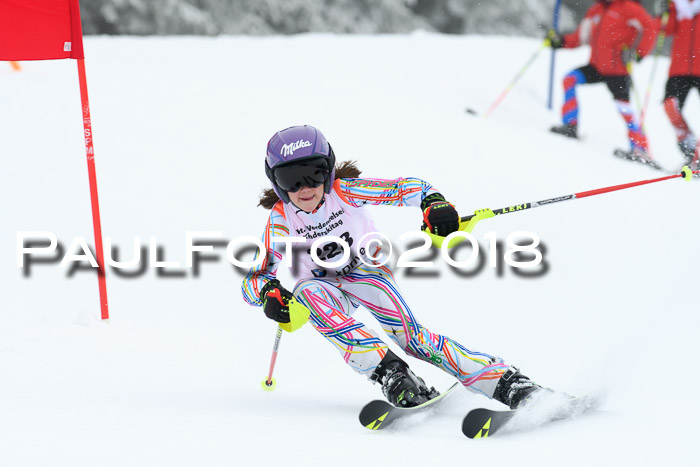 Werdenfelser Kinderskitag, Bambini +Kinder JG 2007, 18.03.2018