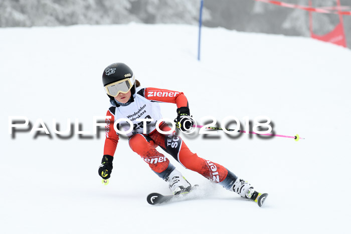 Werdenfelser Kinderskitag, Bambini +Kinder JG 2007, 18.03.2018