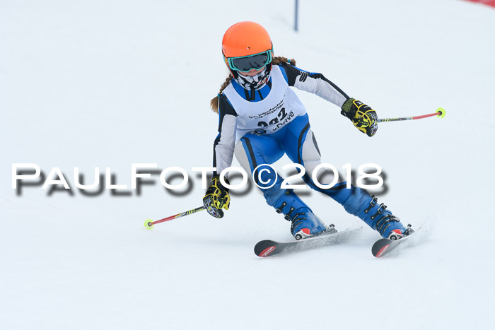 Werdenfelser Kinderskitag, Bambini +Kinder JG 2007, 18.03.2018