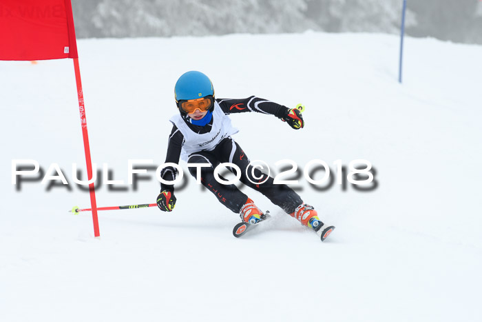 Werdenfelser Kinderskitag, Bambini +Kinder JG 2007, 18.03.2018