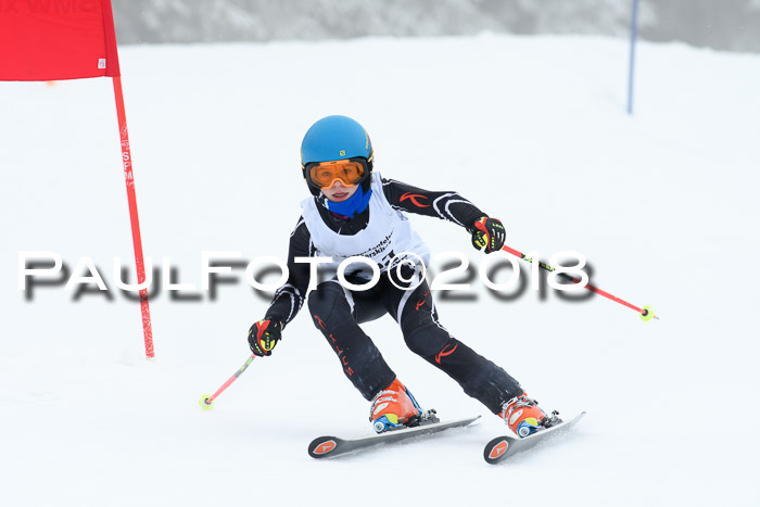 Werdenfelser Kinderskitag, Bambini +Kinder JG 2007, 18.03.2018