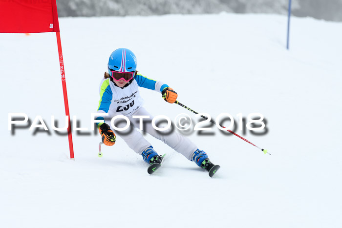 Werdenfelser Kinderskitag, Bambini +Kinder JG 2007, 18.03.2018