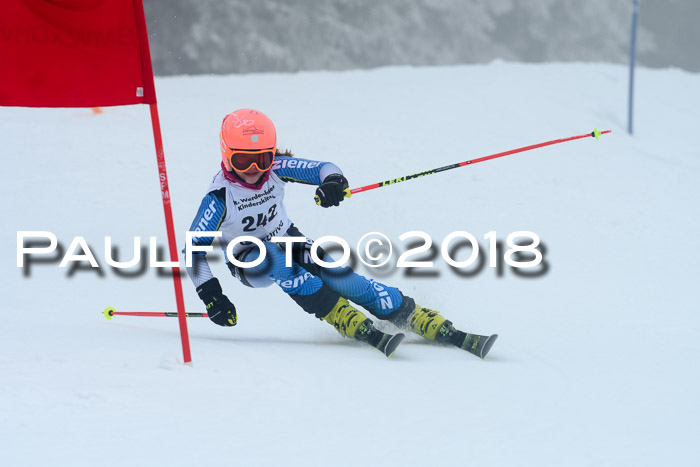 Werdenfelser Kinderskitag, Bambini +Kinder JG 2007, 18.03.2018