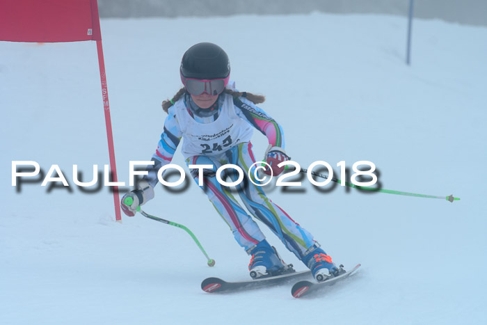 Werdenfelser Kinderskitag, Bambini +Kinder JG 2007, 18.03.2018