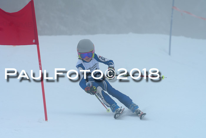 Werdenfelser Kinderskitag, Bambini +Kinder JG 2007, 18.03.2018