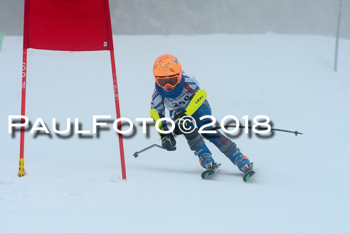 Werdenfelser Kinderskitag, Bambini +Kinder JG 2007, 18.03.2018