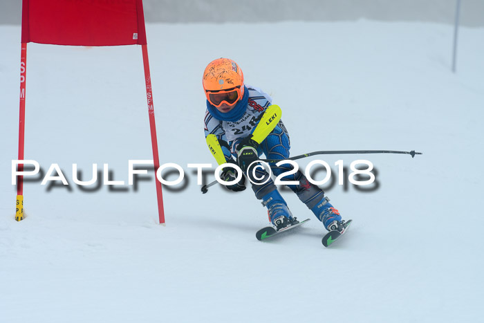 Werdenfelser Kinderskitag, Bambini +Kinder JG 2007, 18.03.2018