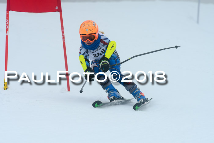 Werdenfelser Kinderskitag, Bambini +Kinder JG 2007, 18.03.2018