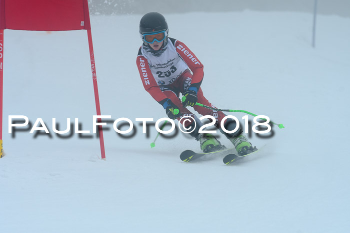 Werdenfelser Kinderskitag, Bambini +Kinder JG 2007, 18.03.2018