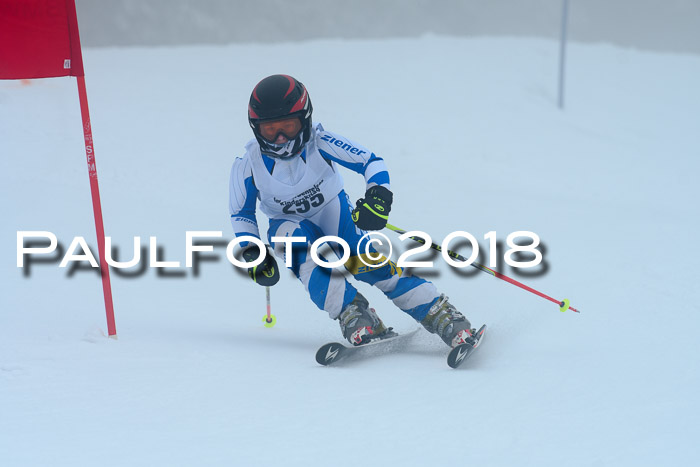 Werdenfelser Kinderskitag, Bambini +Kinder JG 2007, 18.03.2018