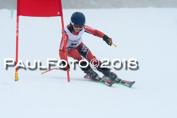 Werdenfelser Kinderskitag, Bambini +Kinder JG 2007, 18.03.2018