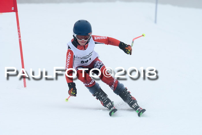 Werdenfelser Kinderskitag, Bambini +Kinder JG 2007, 18.03.2018