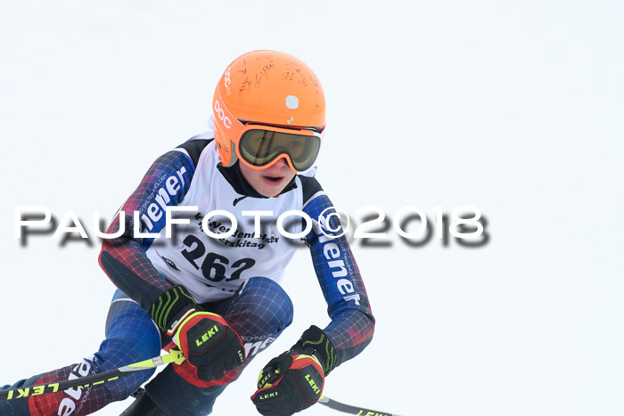 Werdenfelser Kinderskitag, Bambini +Kinder JG 2007, 18.03.2018