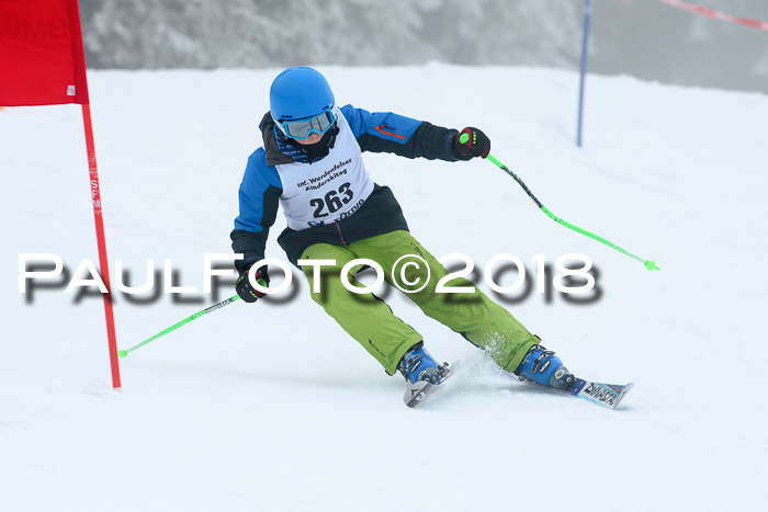 Werdenfelser Kinderskitag, Bambini +Kinder JG 2007, 18.03.2018