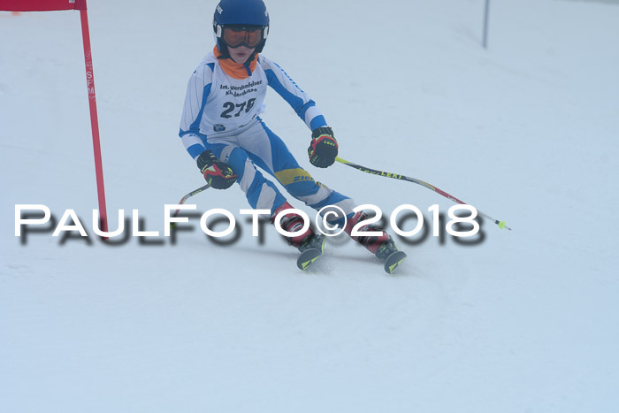 Werdenfelser Kinderskitag, Bambini +Kinder JG 2007, 18.03.2018