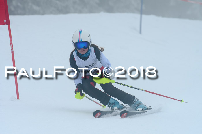 Werdenfelser Kinderskitag, Bambini +Kinder JG 2007, 18.03.2018