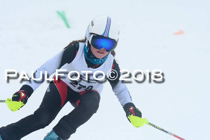 Werdenfelser Kinderskitag, Bambini +Kinder JG 2007, 18.03.2018