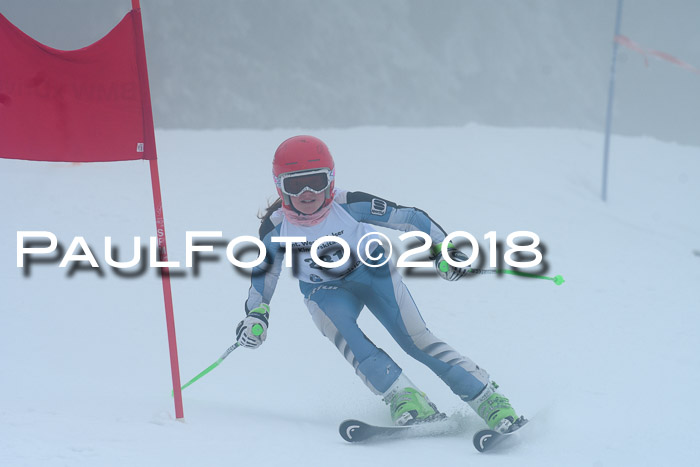 Werdenfelser Kinderskitag, Bambini +Kinder JG 2007, 18.03.2018