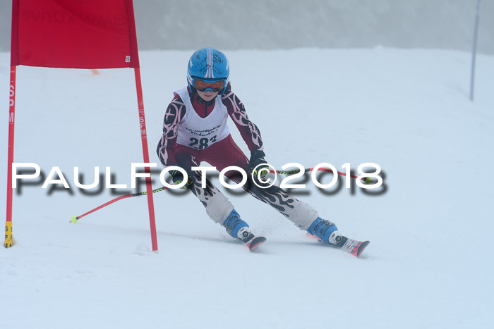 Werdenfelser Kinderskitag, Bambini +Kinder JG 2007, 18.03.2018