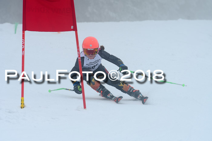 Werdenfelser Kinderskitag, Bambini +Kinder JG 2007, 18.03.2018