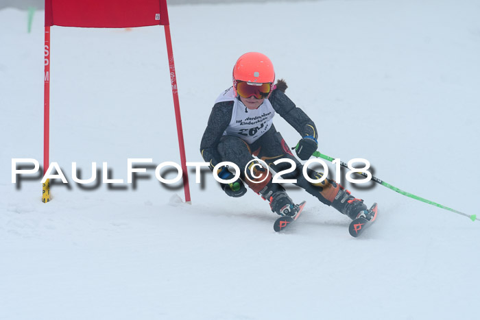 Werdenfelser Kinderskitag, Bambini +Kinder JG 2007, 18.03.2018