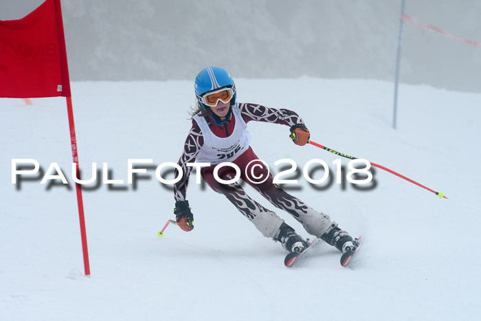 Werdenfelser Kinderskitag, Bambini +Kinder JG 2007, 18.03.2018