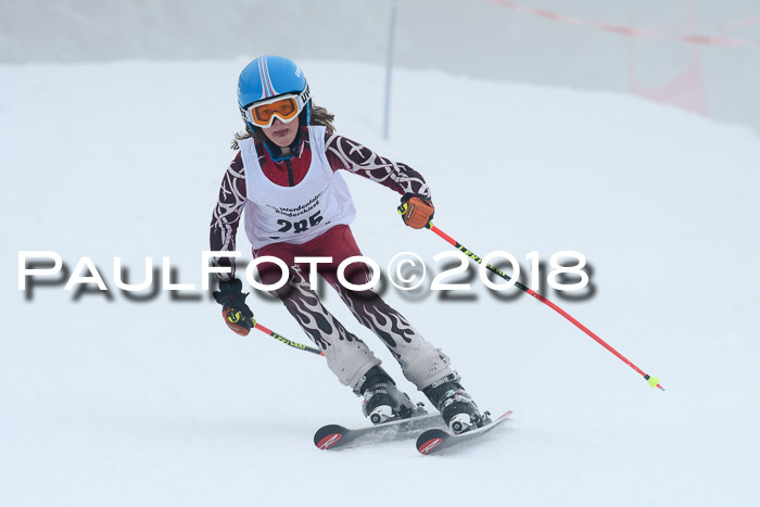 Werdenfelser Kinderskitag, Bambini +Kinder JG 2007, 18.03.2018