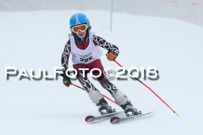 Werdenfelser Kinderskitag, Bambini +Kinder JG 2007, 18.03.2018