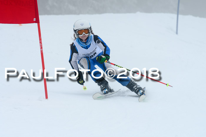 Werdenfelser Kinderskitag, Bambini +Kinder JG 2007, 18.03.2018