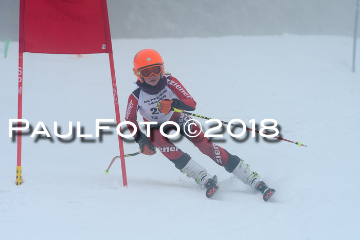 Werdenfelser Kinderskitag, Bambini +Kinder JG 2007, 18.03.2018