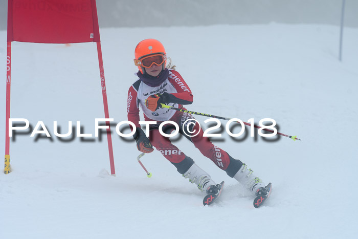 Werdenfelser Kinderskitag, Bambini +Kinder JG 2007, 18.03.2018