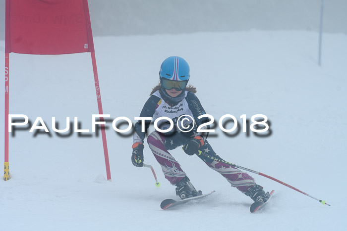 Werdenfelser Kinderskitag, Bambini +Kinder JG 2007, 18.03.2018