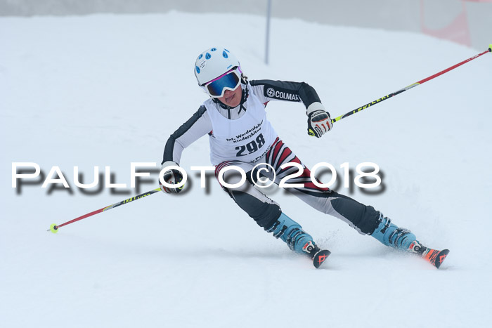 Werdenfelser Kinderskitag, Bambini +Kinder JG 2007, 18.03.2018