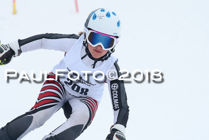 Werdenfelser Kinderskitag, Bambini +Kinder JG 2007, 18.03.2018