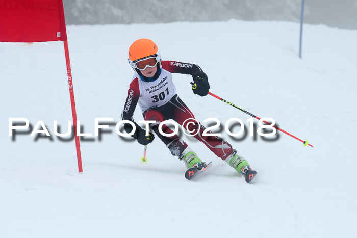 Werdenfelser Kinderskitag, Bambini +Kinder JG 2007, 18.03.2018