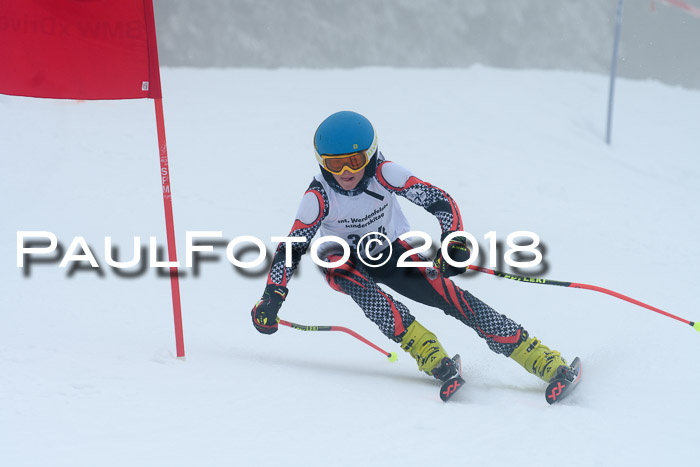 Werdenfelser Kinderskitag, Bambini +Kinder JG 2007, 18.03.2018