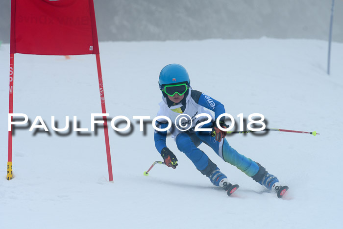 Werdenfelser Kinderskitag, Bambini +Kinder JG 2007, 18.03.2018