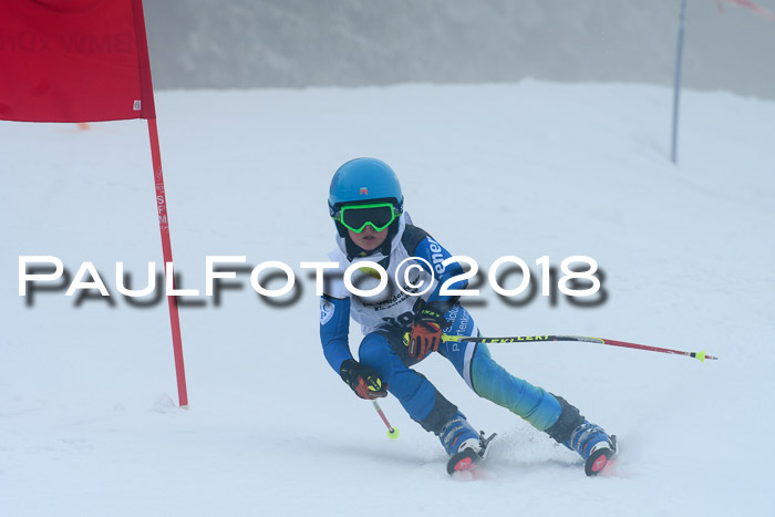 Werdenfelser Kinderskitag, Bambini +Kinder JG 2007, 18.03.2018